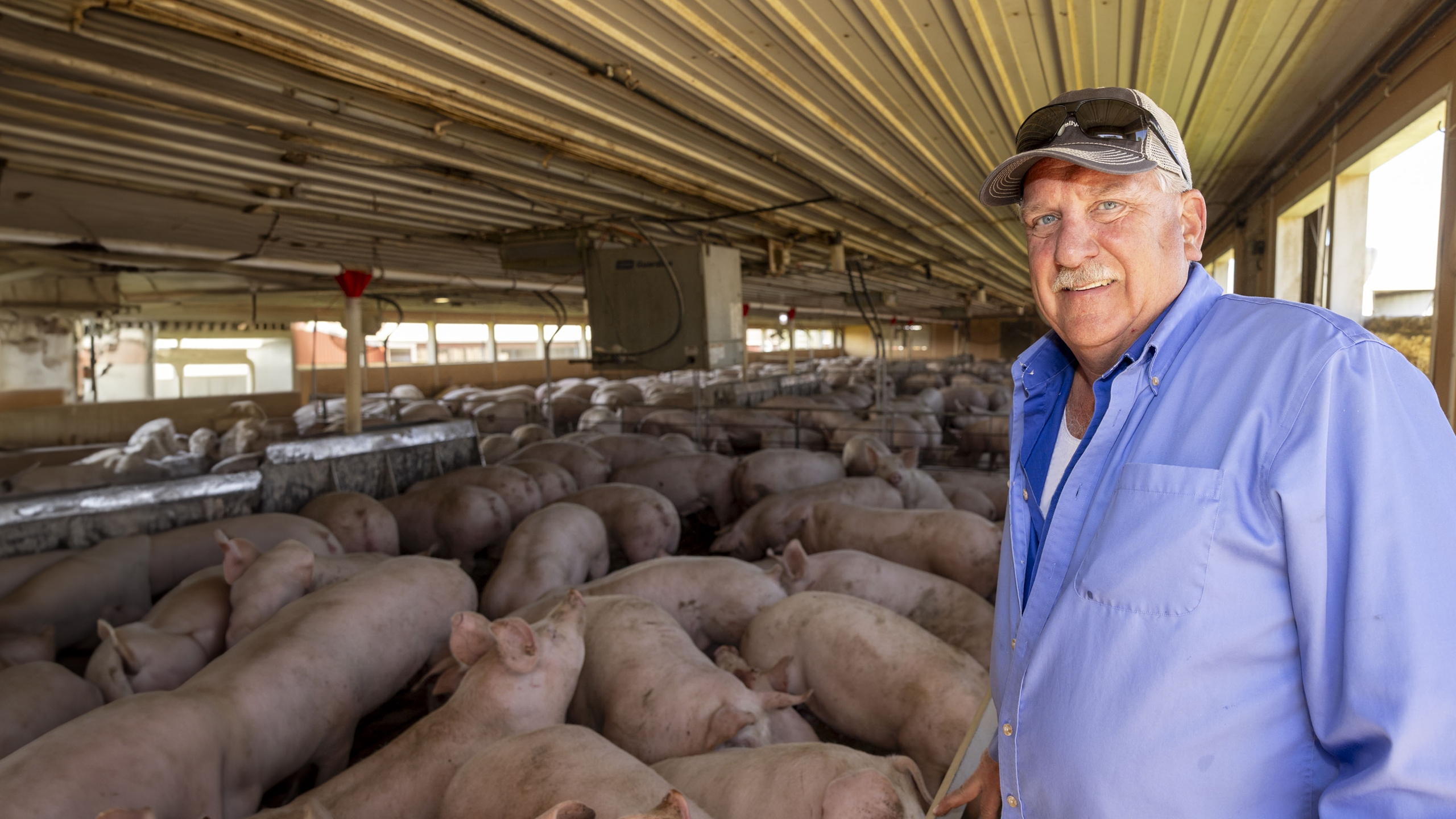 IFB President Brian Duncan standing in front of a pig stall. 