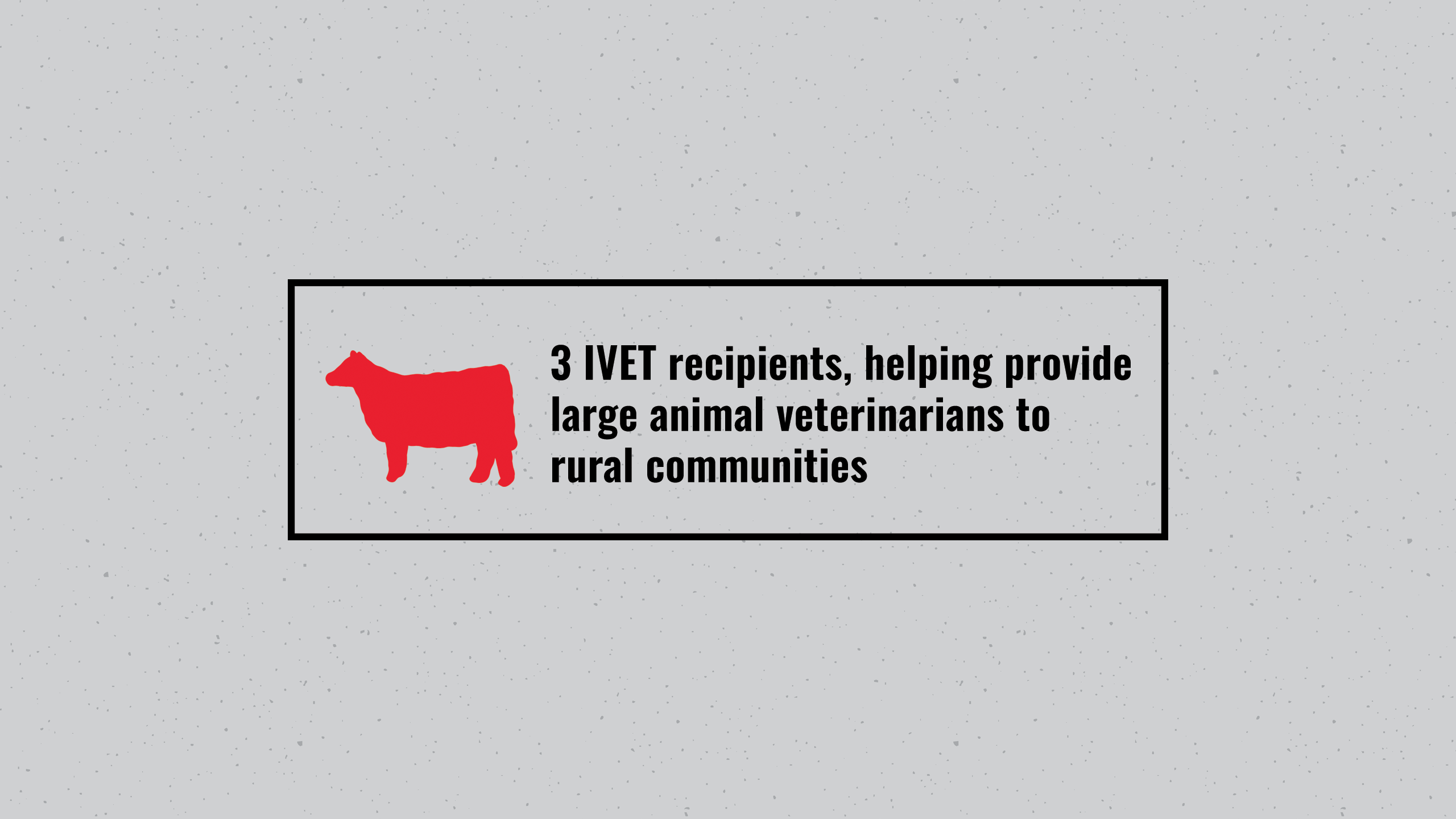 A grey speckled background with a box with a black outline with text in it. Inside the box there is a red icon of a cow next to text that reads 3 IVET recipients, helping provide large animal veterinarians to rural communities.