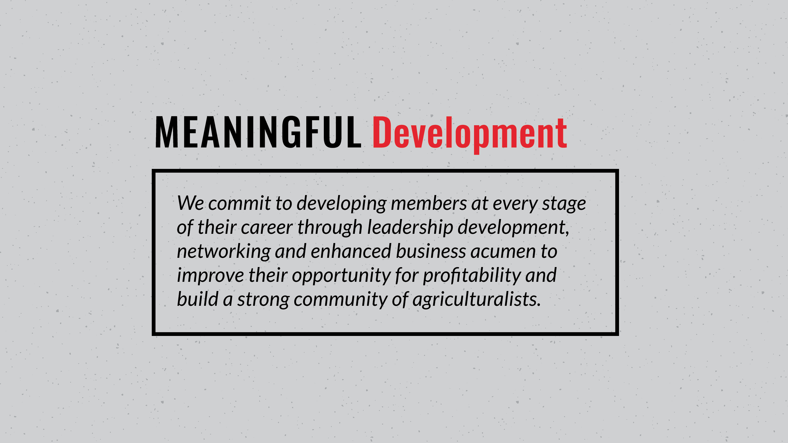 Text written on a grey speckled background. Meaningful Development. A black outlined box with text written in it - We commit to developing members at every stage of their career through leadership development, networking and enhanced business acumen to improve their opportunity for profitability and build a strong community of agriculturalists. 