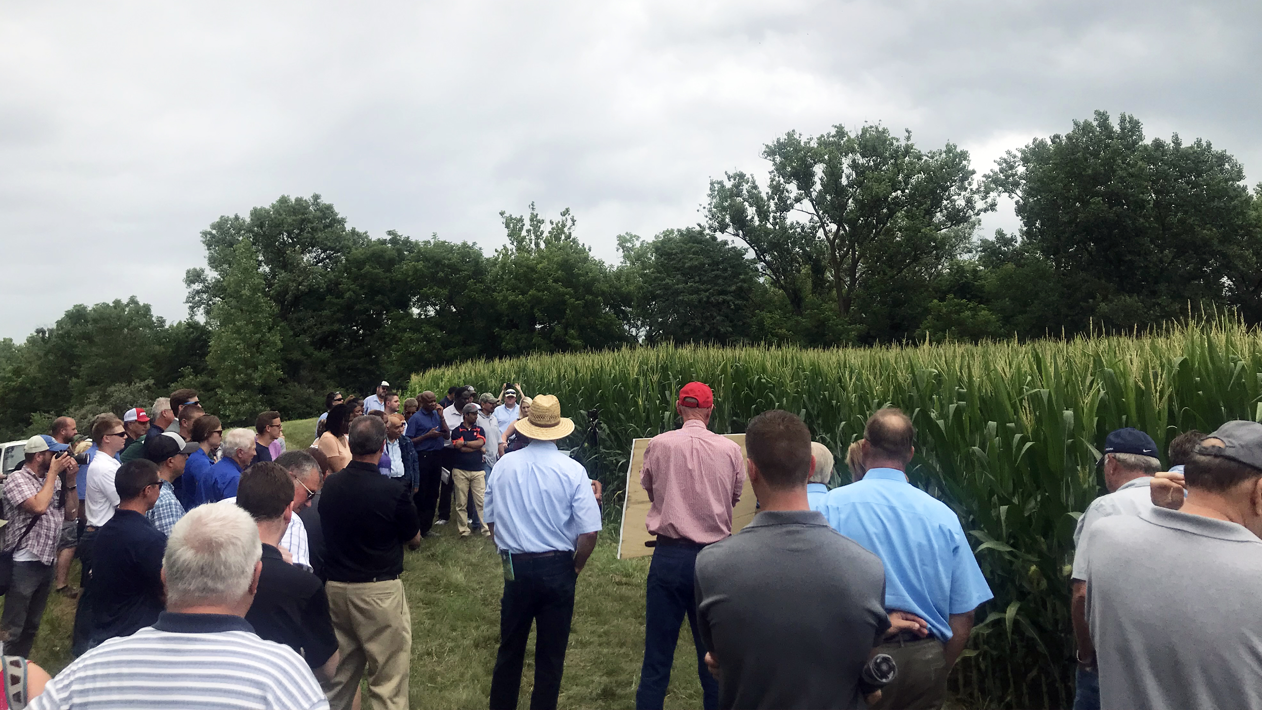 A group of people in front of a tall corn field on a farm tour.