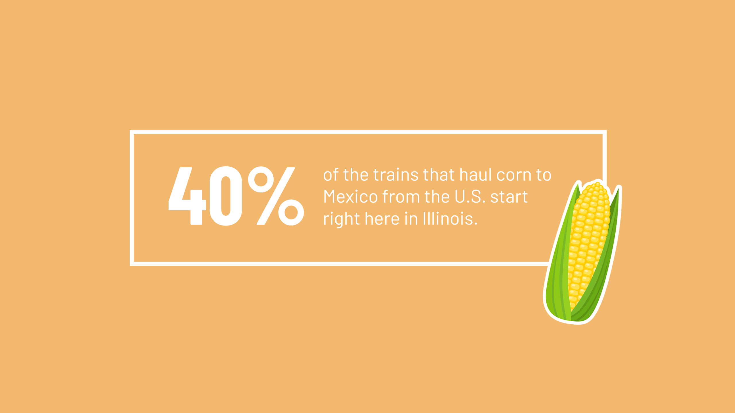 Graphic showing a fact about corn transportation. Text reads: '40% of the trains that haul corn to Mexico from the U.S. start right here in Illinois.' There is also an illustration of a corn husk on a yellow background.